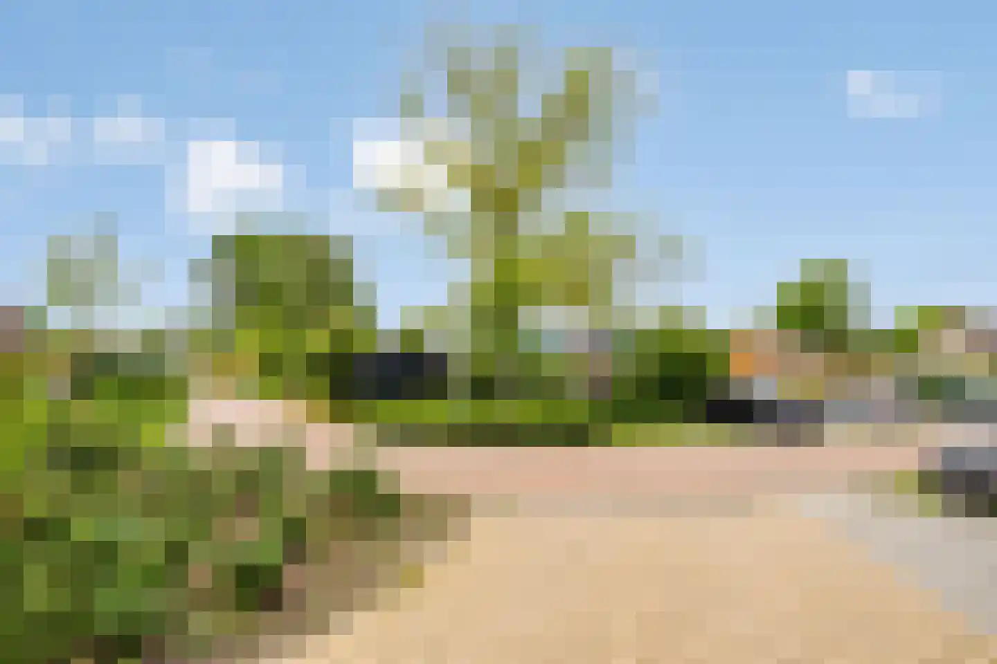 Zonnebloem 56 Krimpen aan den IJssel thumbnail 33