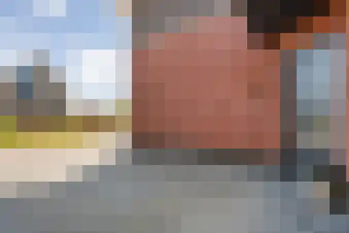 Zonnebloemhof 2 Ommen thumbnail 11