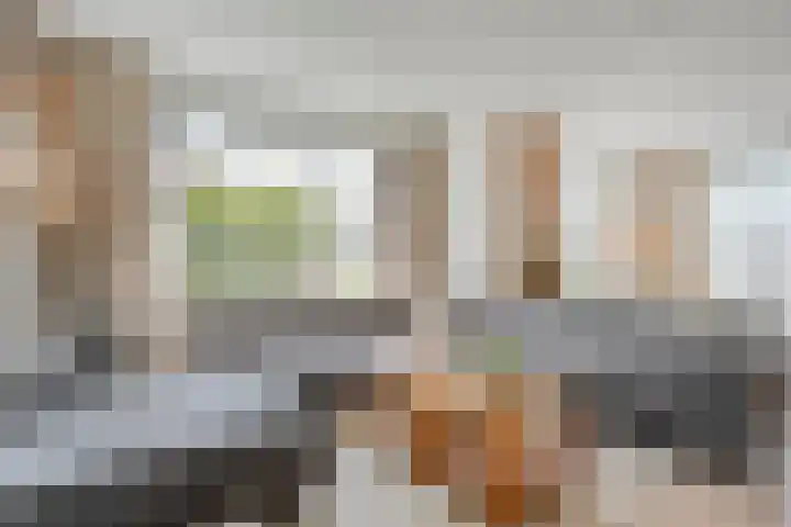 Zonnebloemhof 2 Ommen thumbnail 16