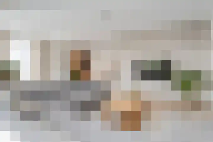Zonnebloemhof 2 Ommen thumbnail 17