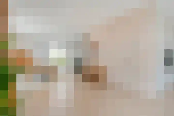 Zonnebloemhof 2 Ommen thumbnail 20