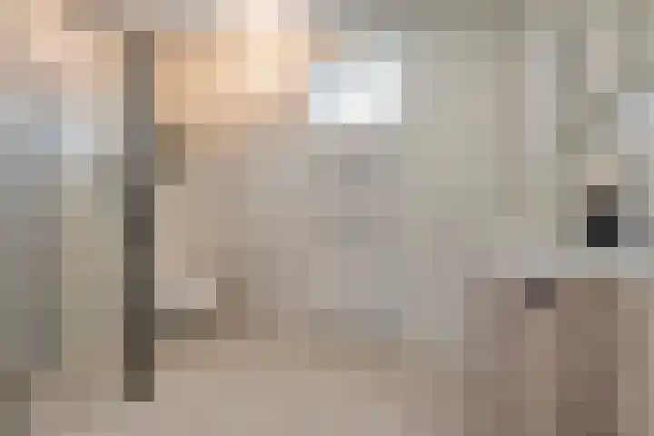 Zonnebloemhof 2 Ommen thumbnail 39