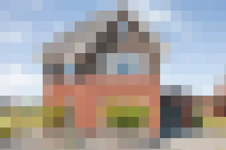 Zonnebloemhof 2 Ommen thumbnail 4