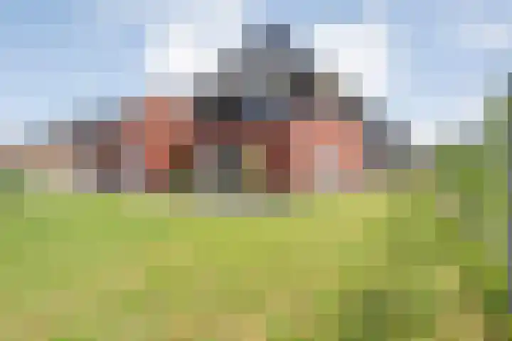 Zonnebloemhof 2 Ommen thumbnail 44