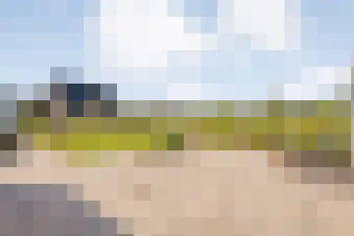 Zonnebloemhof 2 Ommen thumbnail 46