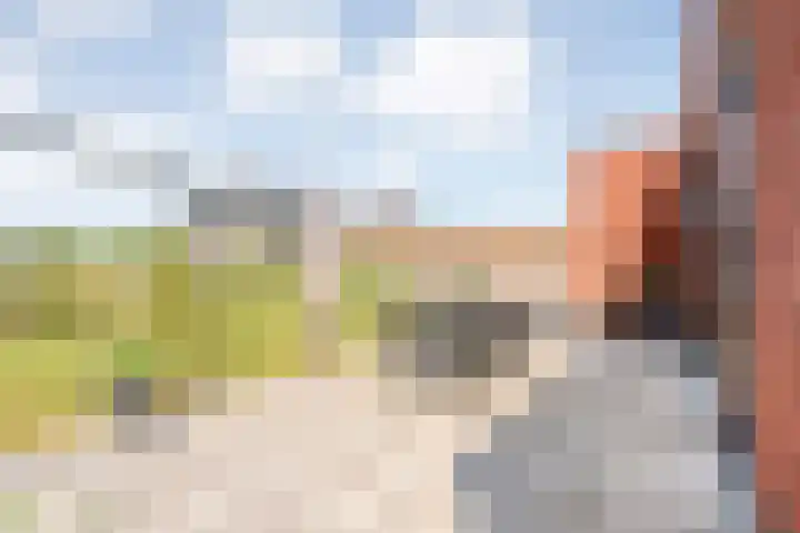 Zonnebloemhof 2 Ommen thumbnail 47