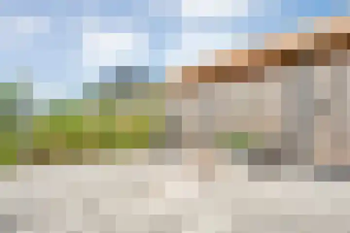 Zonnebloemhof 2 Ommen thumbnail 48