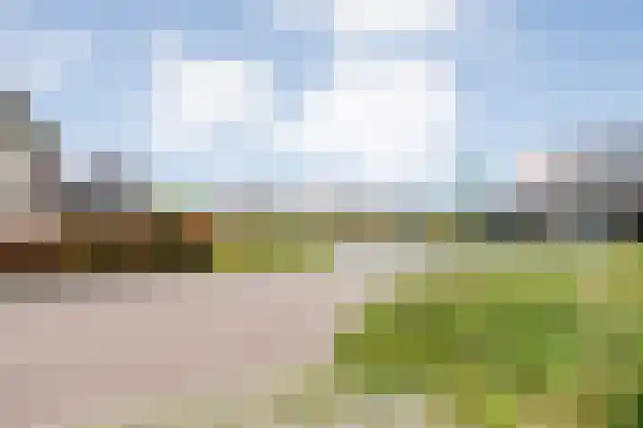 Zonnebloemhof 2 Ommen thumbnail 6