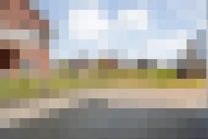 Zonnebloemhof 2 Ommen thumbnail 7