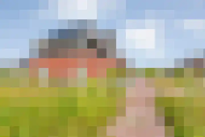 Zonnebloemhof 2 Ommen thumbnail 8