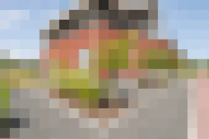 Zonnebloemhof 2 Ommen thumbnail 9
