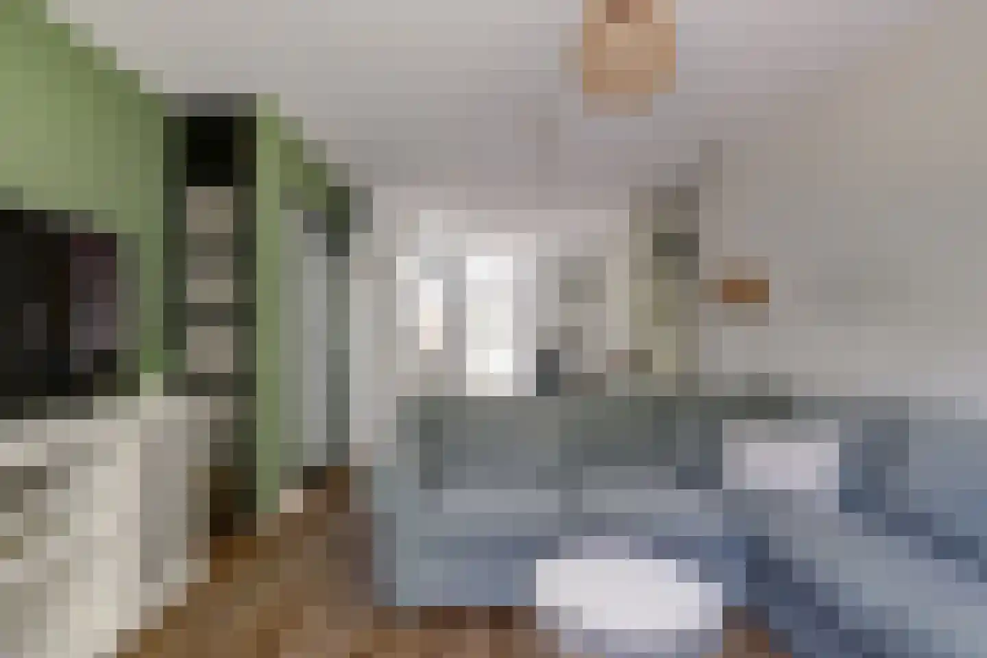 Zonnebloemlaan 15 's-Gravendeel thumbnail 18