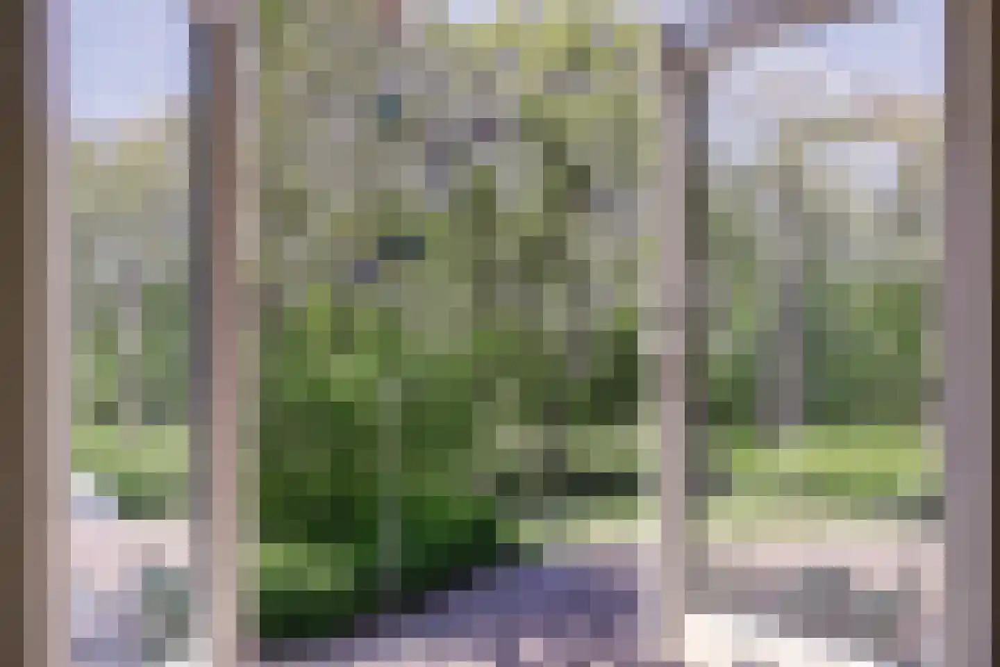 Zonnebloemlaan 15 's-Gravendeel thumbnail 20