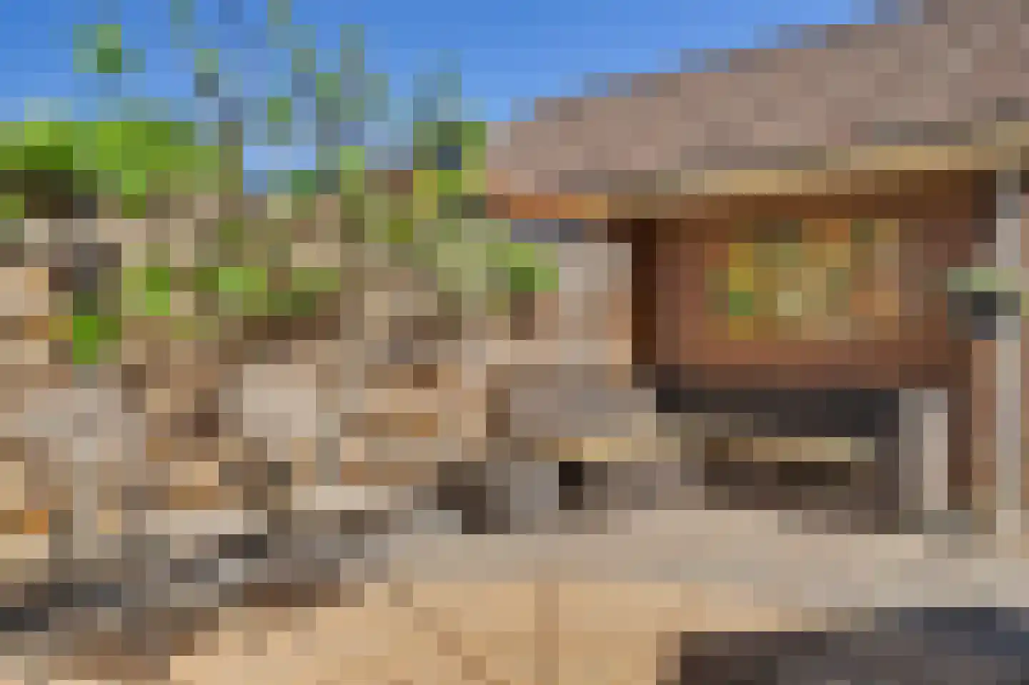 Zonnebloemlaan 15 's-Gravendeel thumbnail 47