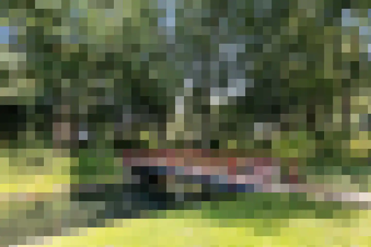 Zonnebloemlaan 15 's-Gravendeel thumbnail 52