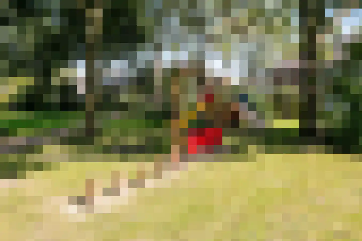 Zonnebloemlaan 15 's-Gravendeel thumbnail 53