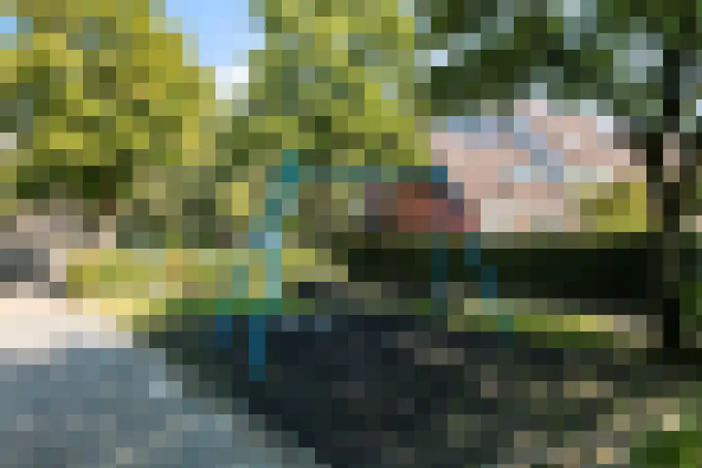 Zonnebloemlaan 15 's-Gravendeel thumbnail 54
