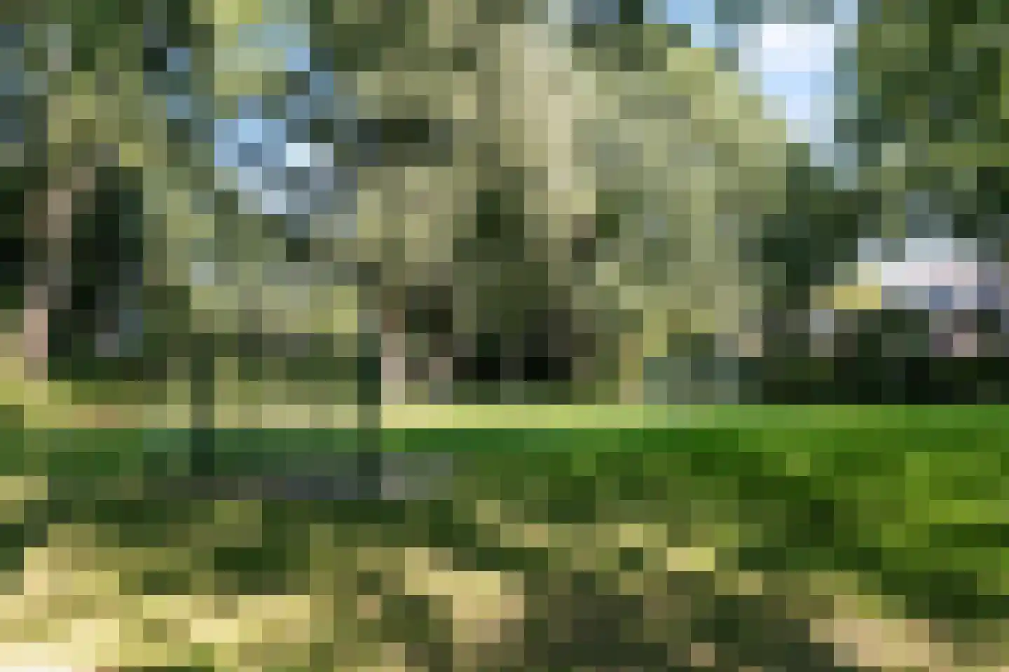 Zonnebloemlaan 15 's-Gravendeel thumbnail 55