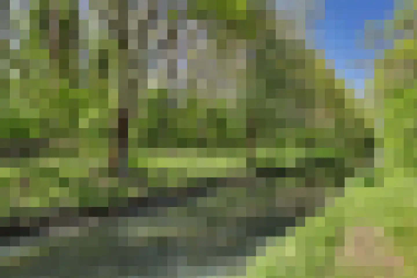 Zonnebloemlaan 15 's-Gravendeel thumbnail 56