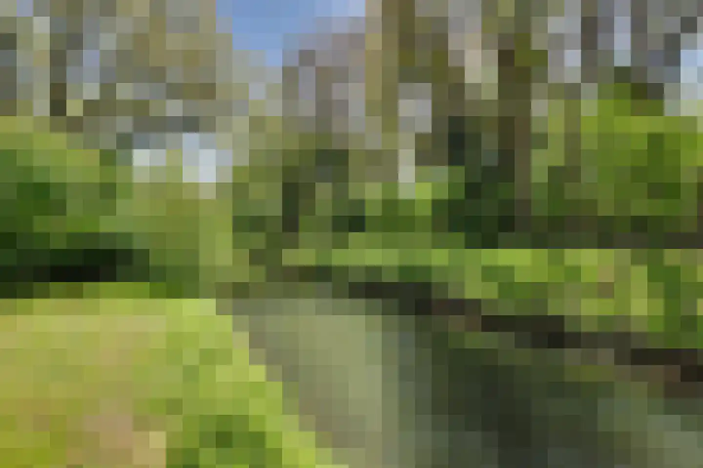 Zonnebloemlaan 15 's-Gravendeel thumbnail 57