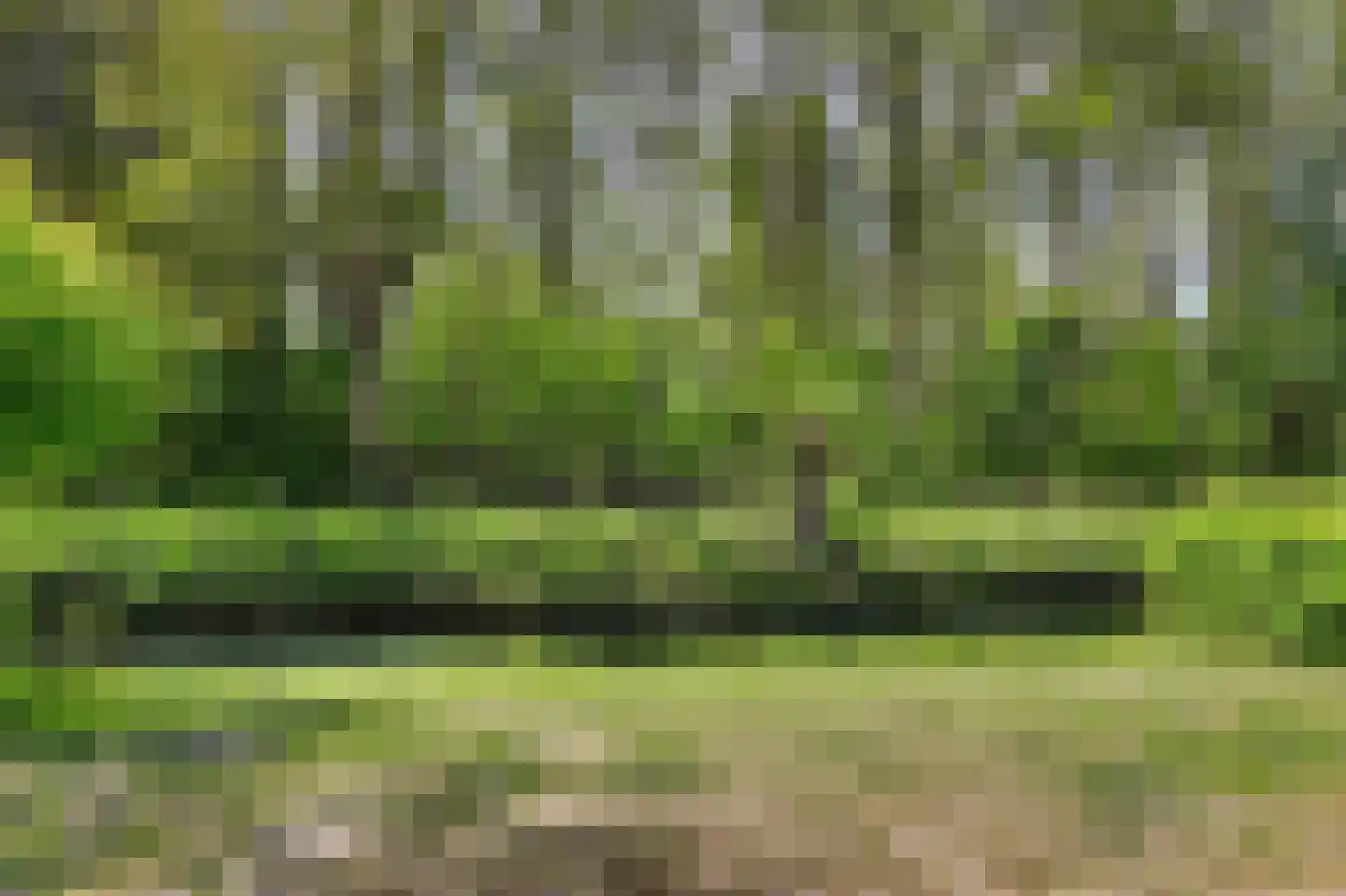 Zonnebloemlaan 15 's-Gravendeel thumbnail 58