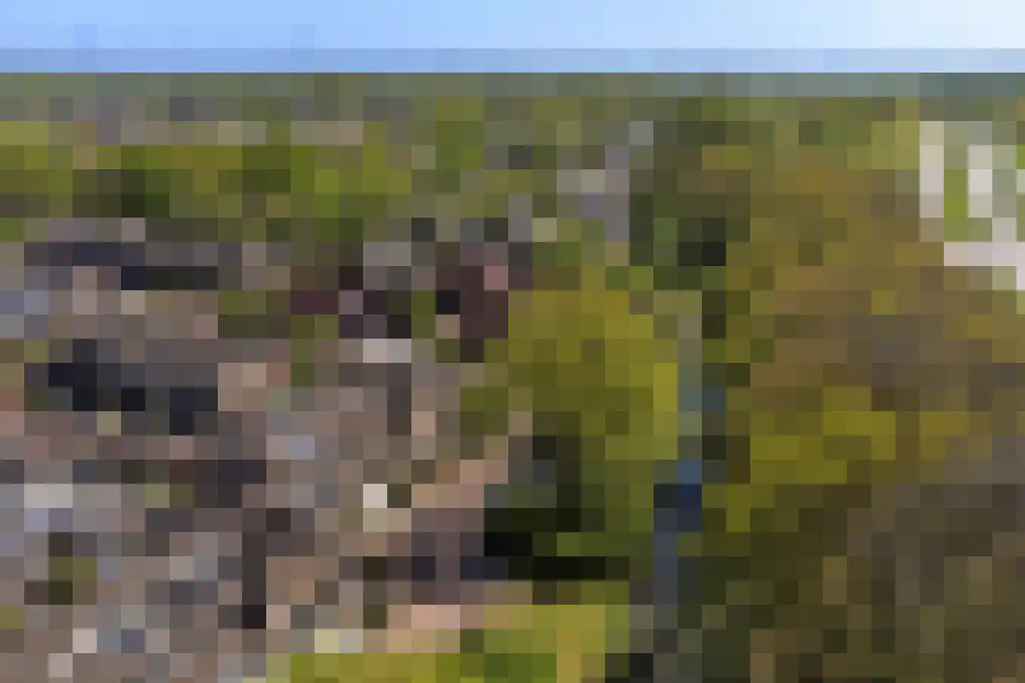 Zonnebloemlaan 15 's-Gravendeel thumbnail 6