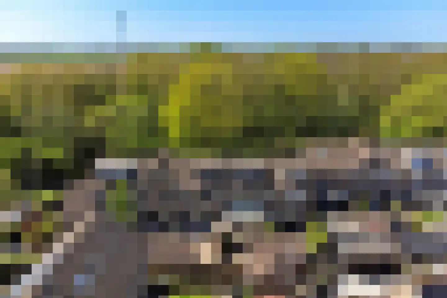 Zonnebloemlaan 15 's-Gravendeel thumbnail 60