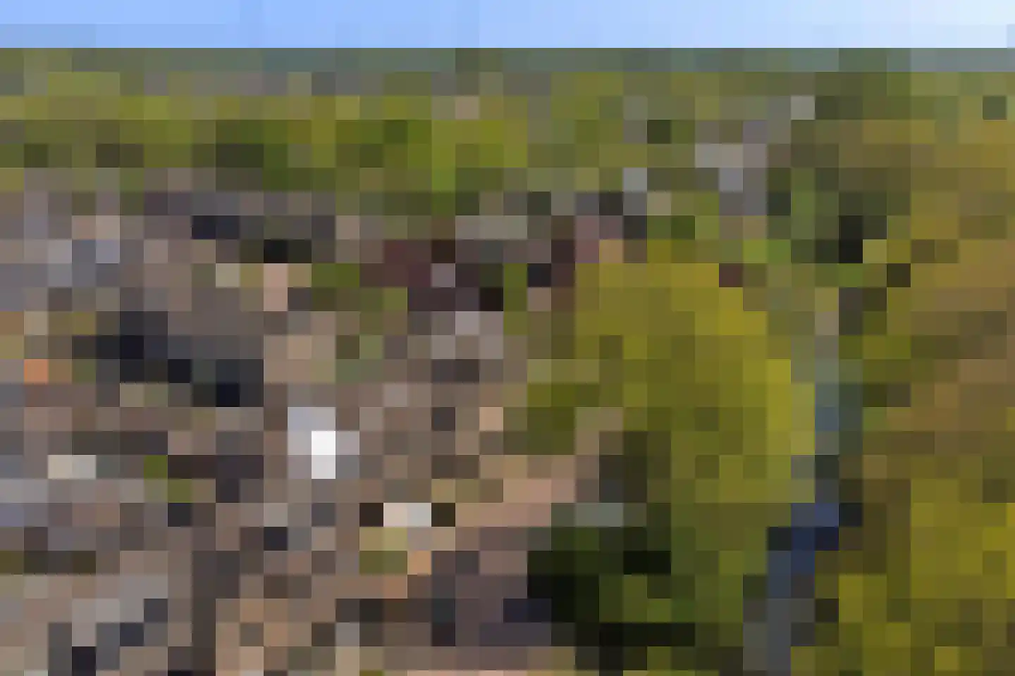 Zonnebloemlaan 15 's-Gravendeel thumbnail 61