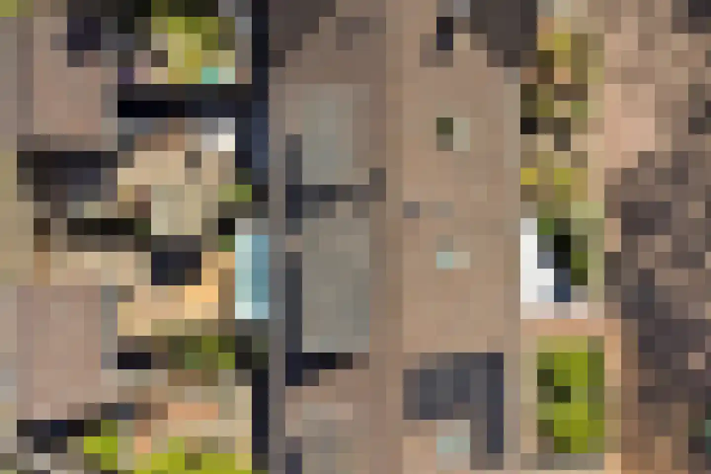 Zonnebloemlaan 15 's-Gravendeel thumbnail 63