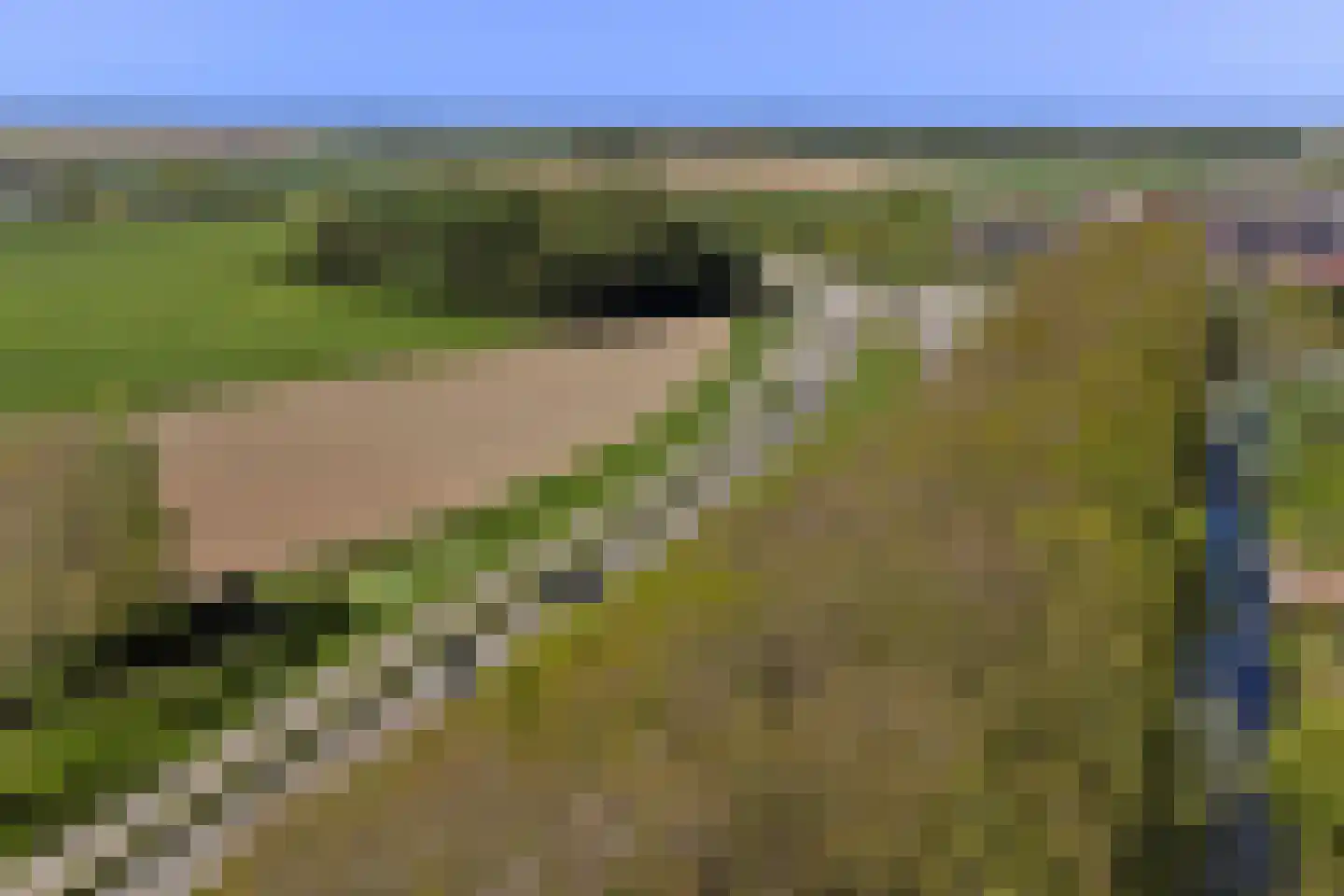Zonnebloemlaan 15 's-Gravendeel thumbnail 65