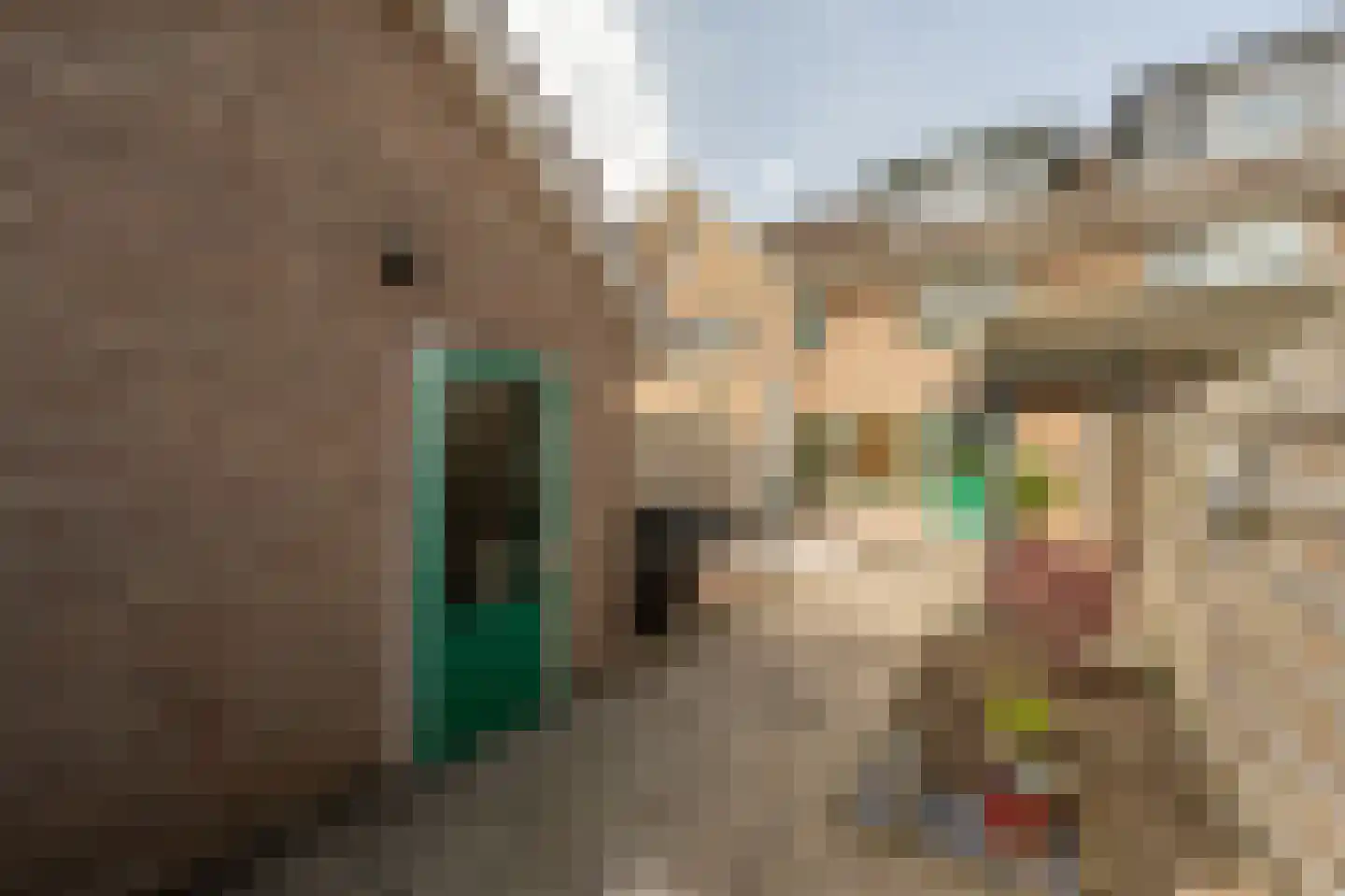 Zonnebloemlaan 17 's-Gravendeel thumbnail 40