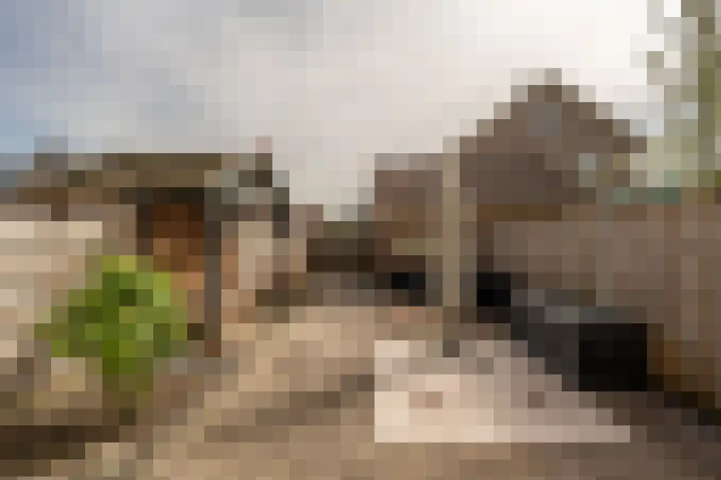 Zonnebloemlaan 17 's-Gravendeel thumbnail 41