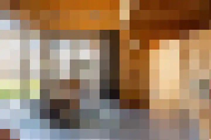 Zonnebloemlaan 224 Drunen thumbnail 15