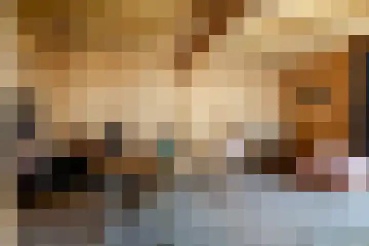 Zonnebloemlaan 224 Drunen thumbnail 16