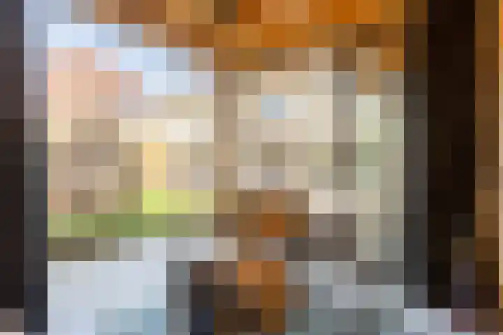 Zonnebloemlaan 224 Drunen thumbnail 17