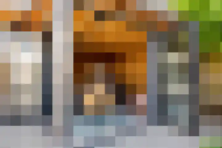 Zonnebloemlaan 224 Drunen thumbnail 18