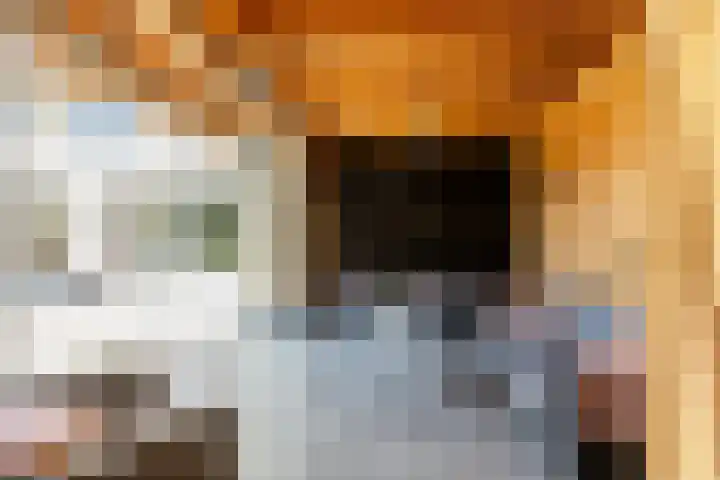 Zonnebloemlaan 224 Drunen thumbnail 21