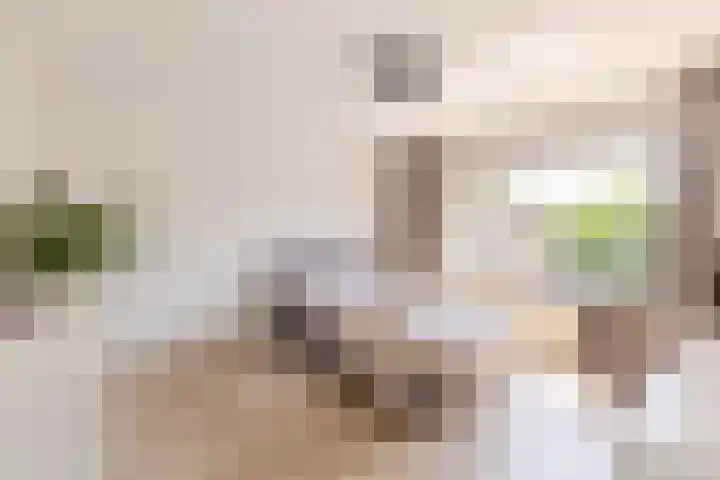 Zonnebloemlaan 224 Drunen thumbnail 23
