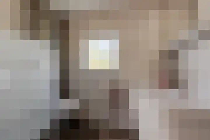 Zonnebloemlaan 224 Drunen thumbnail 25