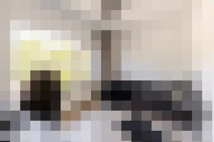 Zonnebloemlaan 224 Drunen thumbnail 27