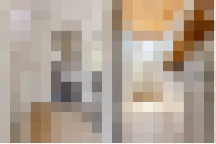 Zonnebloemlaan 224 Drunen thumbnail 29