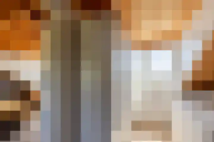 Zonnebloemlaan 224 Drunen thumbnail 33
