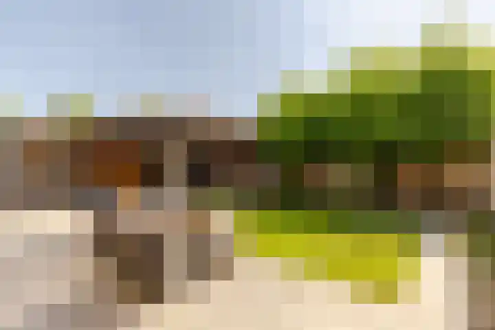 Zonnebloemlaan 224 Drunen thumbnail 35