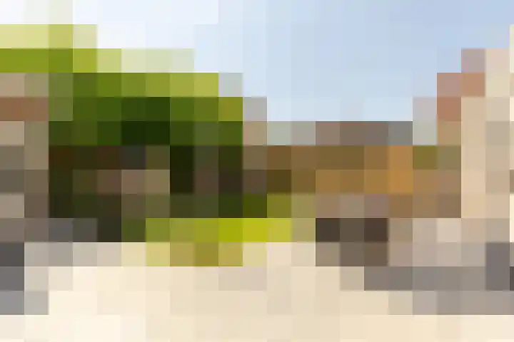 Zonnebloemlaan 224 Drunen thumbnail 36