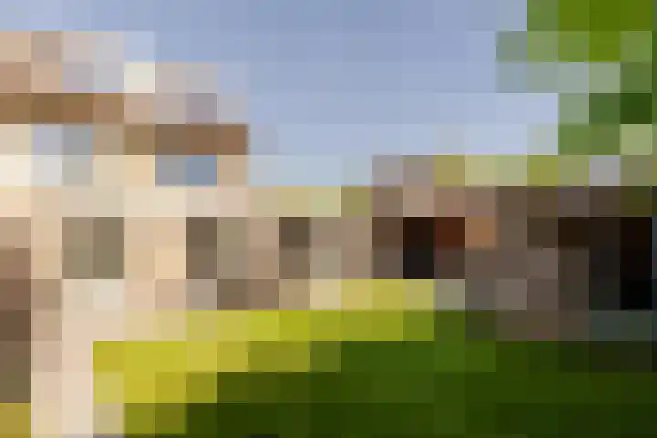 Zonnebloemlaan 224 Drunen thumbnail 37