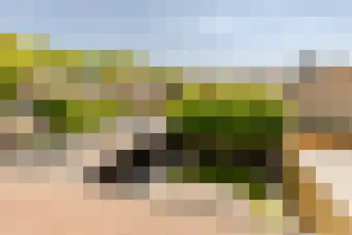 Zonnebloemlaan 224 Drunen thumbnail 39