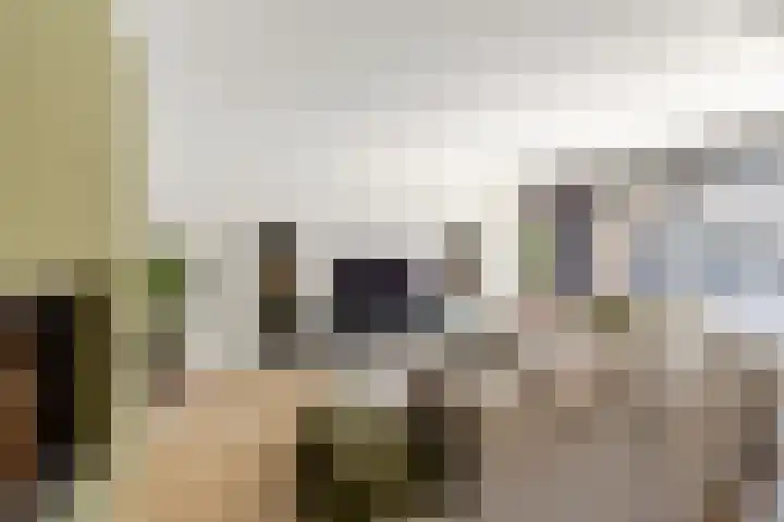 Zonnebloemlaan 224 Drunen thumbnail 4