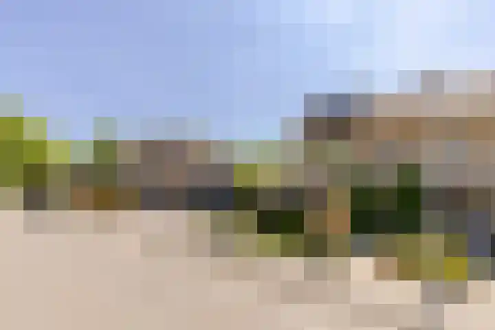 Zonnebloemlaan 224 Drunen thumbnail 41