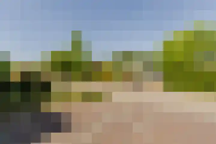 Zonnebloemlaan 224 Drunen thumbnail 42
