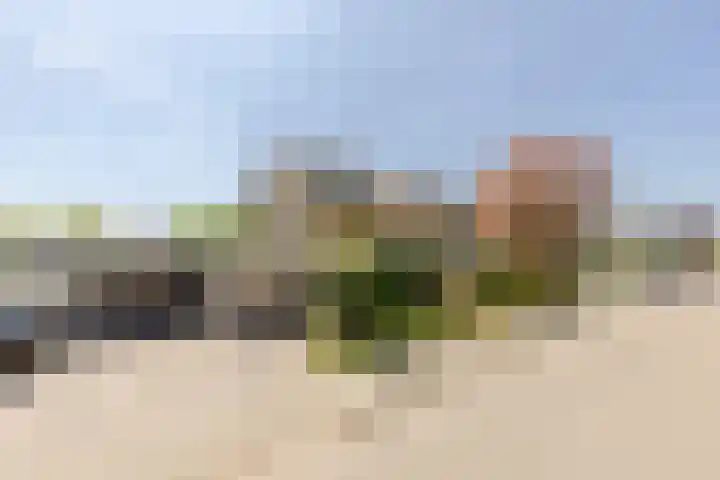 Zonnebloemlaan 224 Drunen thumbnail 43